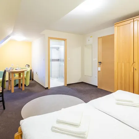 Hotel Sofia Trzic